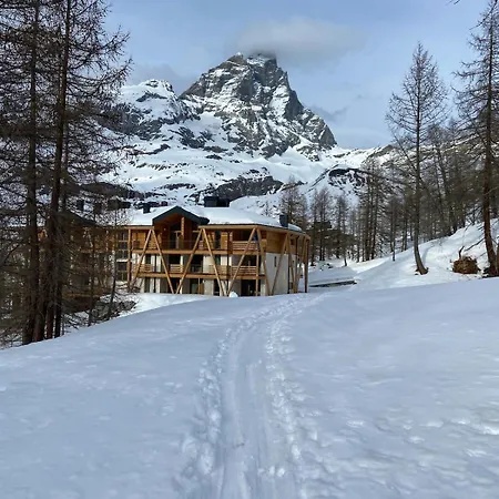 Your Nest In The Mountains *