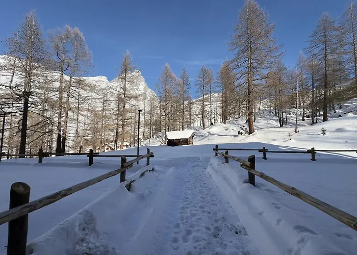 Your Nest In The Mountains Appartement *