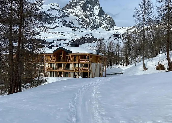 Your Nest In The Mountains *